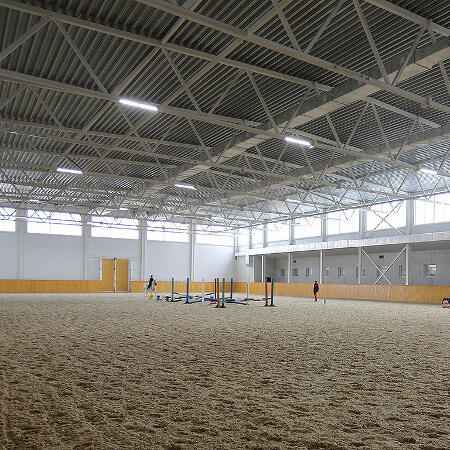 Внутри манежа